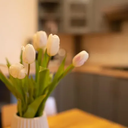 Accommodatie bij particulieren Nad Pizzeria