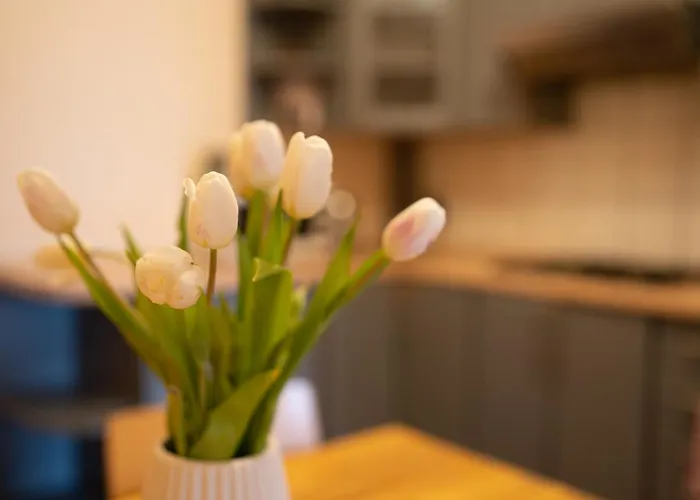 Homestay Nad Pizzeria